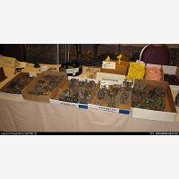 IMG_0086.JPG   71.3K